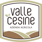 ValleCesine Store